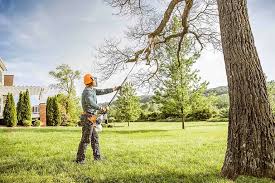Mulching Services in Lebanon, IL