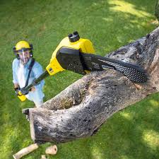 Lawn Pest Prevention in Lebanon, IL